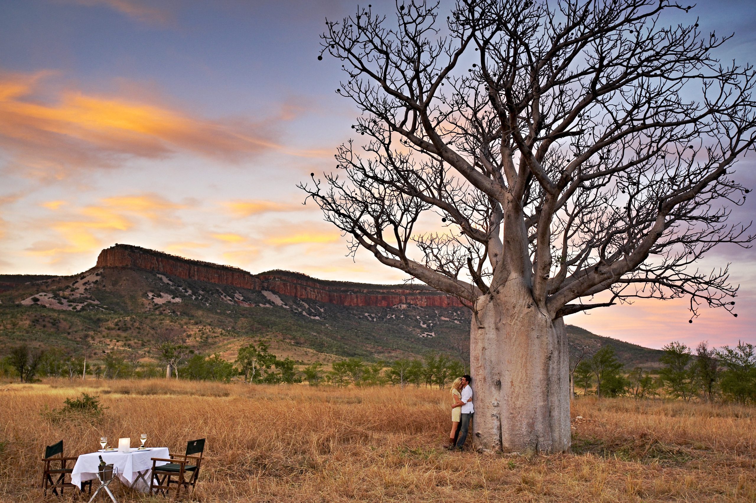weddings & proposals